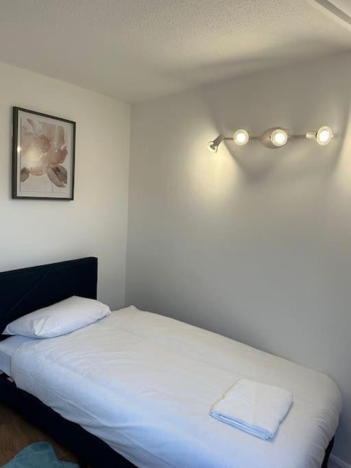 Spacious 4 Bedroom House Billericay Buitenkant foto